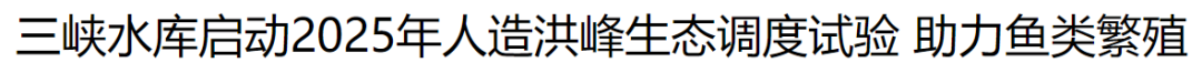 ▲中國日報(bào)網(wǎng)6月11日《三峽水庫啟動(dòng)2025年人造洪峰生態(tài)調(diào)度試驗(yàn)助力魚類繁殖》