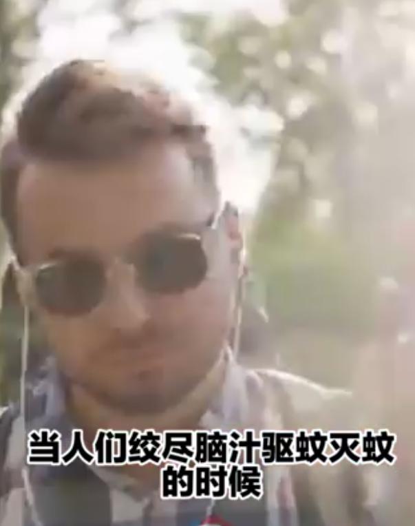 夏威夷為何要空投數(shù)萬只蚊子