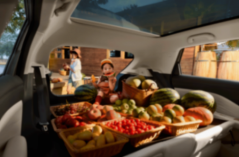 6.28萬起的極狐T1,A0級市場究竟有多能打?